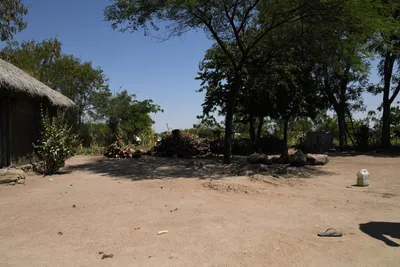 DSC_2948 (Large).JPG